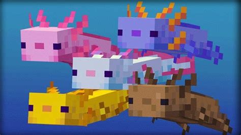 Everything You Need to Know about a Minecraft Axolotl