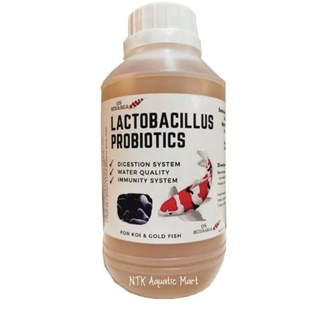 [PROBIOTIC | 500ml] Pure Lactobacillus Probiotics - improve digestion ...