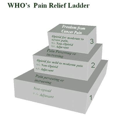 WHO pain ladder – Dr Rajiv Desai