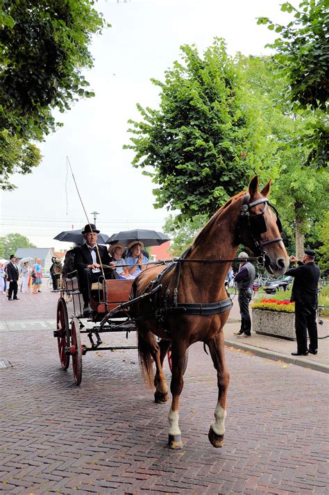 Traditional Carriage Clothing Free Stock Photo - Public Domain Pictures