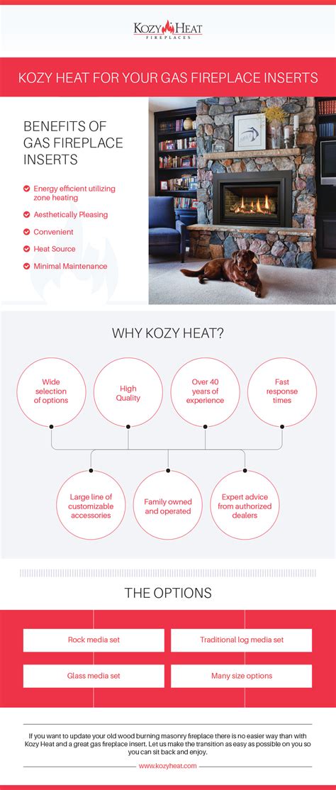 Kozy Heat For Your Gas Fireplace Inserts | Kozy Heat