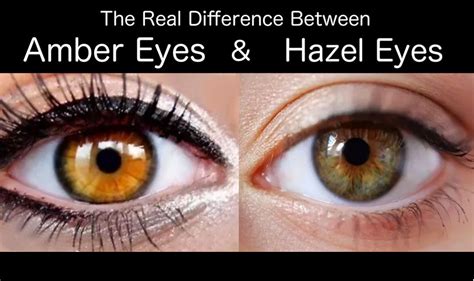 The Real Difference Between Amber Eyes And Hazel Eyes