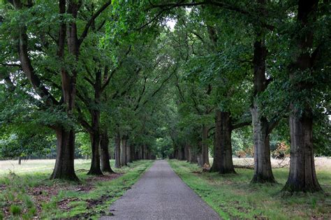 Guide To Exploring The Breathtaking Nature of Nationaal Park De Hoge ...