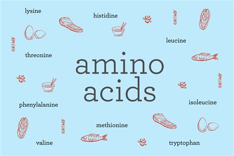 What are amino acids? Exploring the 9 essential amino acids + the foods ...