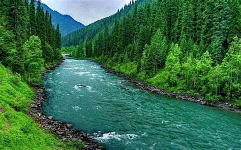 Natural Kashmir Tour (124006),Holiday Packages to Srinagar