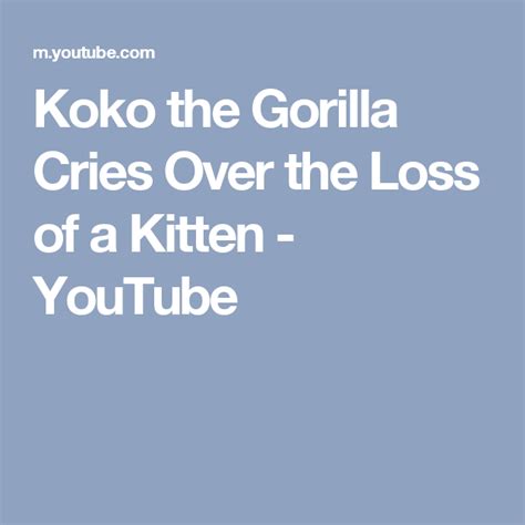 Koko the Gorilla Cries Over the Loss of a Kitten - YouTube | Crying ...