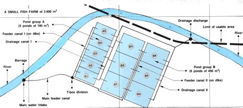 12. Detailed Planning For Fish Farm Construction