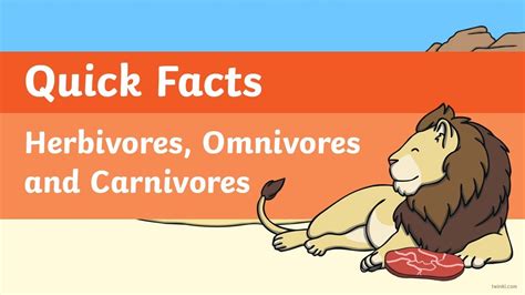 Quick Facts: Herbivores, Omnivores and Carnivores Video - YouTube