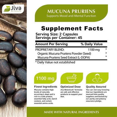 Jiva Botanicals - Mucuna Pruriens Capsules 1100 mg - Precursor to ...