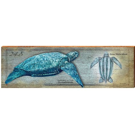 Anna Maria Island Leatherback Sea Turtle Study Wall Art - Etsy