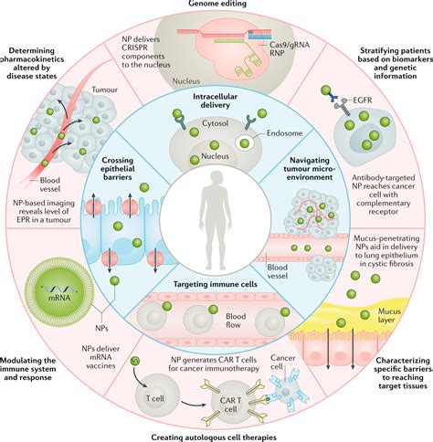 Engineering precision nanoparticles for drug delivery - Pharma Excipients