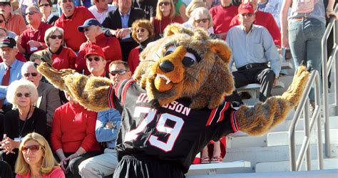 Davidson College's Mascot is Wild at Heart | Our State