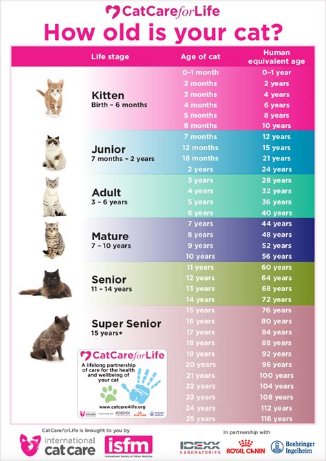 Life stages - Cat Care for Life