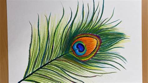 Peacock Feather Pencil Drawing