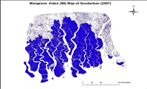 Mangrove extent map 2017 In 2017, map show that there is greater change ...