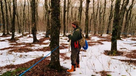 Maple syrup farmers tapping 'earliest we ever have' after warm winter ...