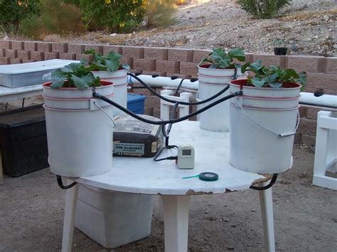 How To Build A Simple DIY Hydroponics System - 23 Easy DIY Hydroponic