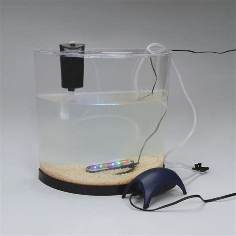 GloFish® Desktop Aquarium Package | Carolina.com