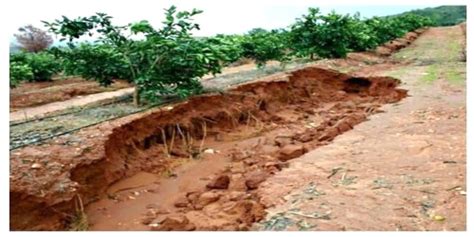 Soil Erosion in Indian Subcontinent - QS Study