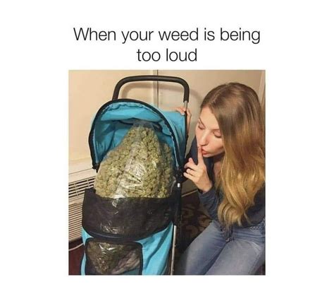 No Weed Meme