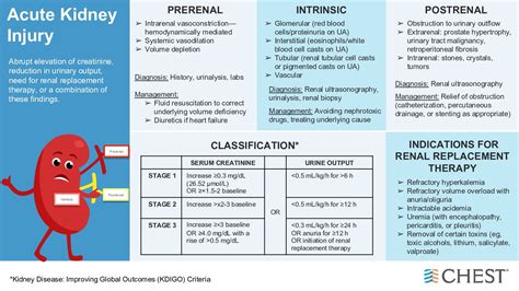 Acute Kidney Injury - Differential Diagnosis Framework PRERENAL: