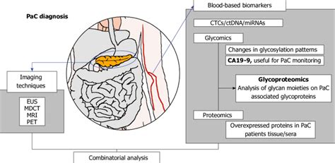 Overview of pancreatic cancer diagnosis methods: imaging techiques and ...