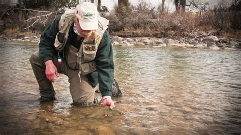 Fly Fishing In Wyoming The Wind River Range Video Dubois WY Spring ...