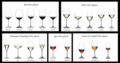 Types Of Wine Glasses Educational Labeled Classification Example ...