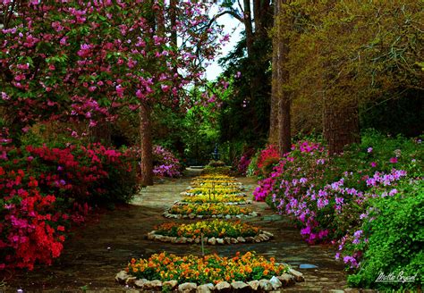 HD Wallpaper: Enchanted Flower Garden by Mattie Bryant