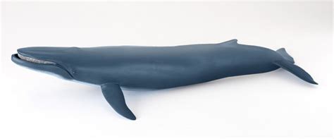 FIGURINE PAPO - BALEINE BLEUE (6 CM DE HAUT ET 40 CM DE LONG) - WILD ...