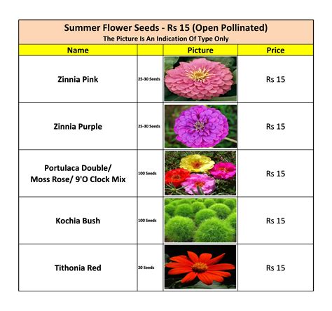 Summer Flower Seeds - Rs 15 — Kitchen Home Gardener