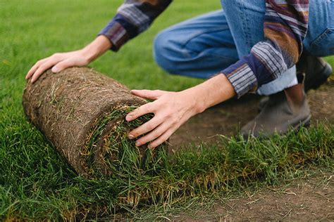 Sod Farm & Best Sod Installation Company in Sioux City | Siouxland Sod