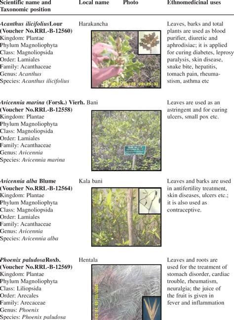 Scientific name and taxonomic details of the selected mangrove plants ...