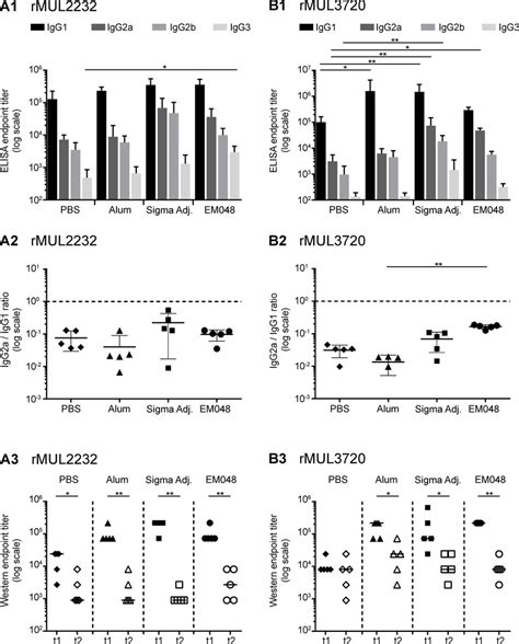 Assessment of Immunoglobulin G subclasses and the longevity of antibody ...