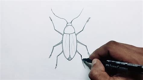 Top 74+ sketch of cockroach latest - seven.edu.vn