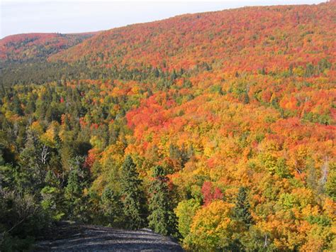 Duluth, MN Fall Events | Scenic Pathways