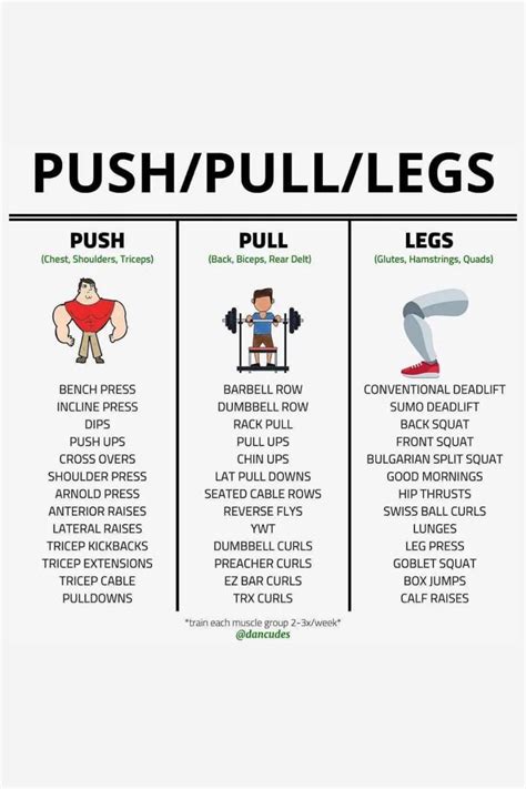 PUSH/PULL/LEGS EXERCISES LIST | Workout program gym, Push day workout ...