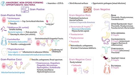 Pathology: Anaerobic, Non-spore-forming Bacteria (Actinomyces ...