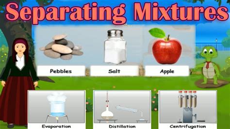 Separating Mixtures, Different Methods: Distillation, Evaporation ...