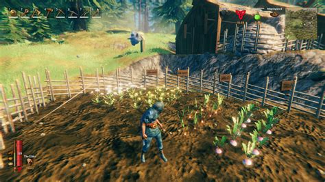 Valheim planting seeds and farming - Polygon