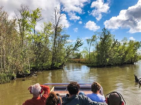 Bayou Swamp Tours: The #1 Swamp Tour in New Orleans