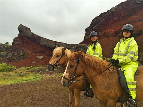 Miss HappyFeet: My Icelandic Horse Riding Experience In Reykjavik