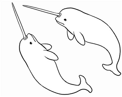 Narwhal Coloring Pages - Best Coloring Pages For Kids