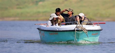 National Chambal Sanctuary - TOFTigers