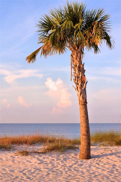 Mississippi Beaches Photograph by JC Findley