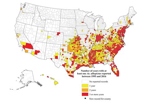 The Asian tiger mosquito (Aedes albopictus) – Biogents USA