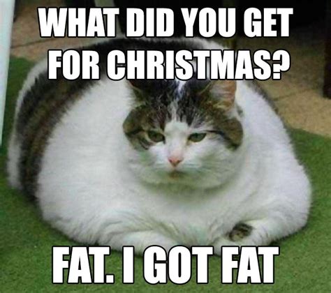 35+ Funny Christmas Memes in 2024