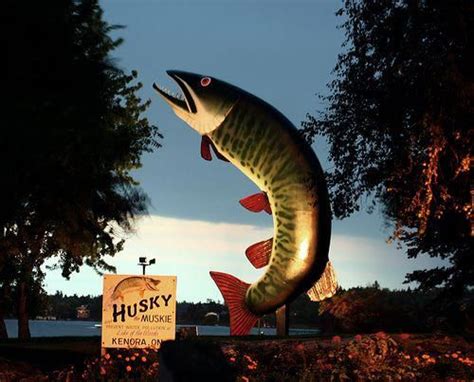 Husky the Muskie in Kenora, Ontario, Canada | Roadside attractions ...