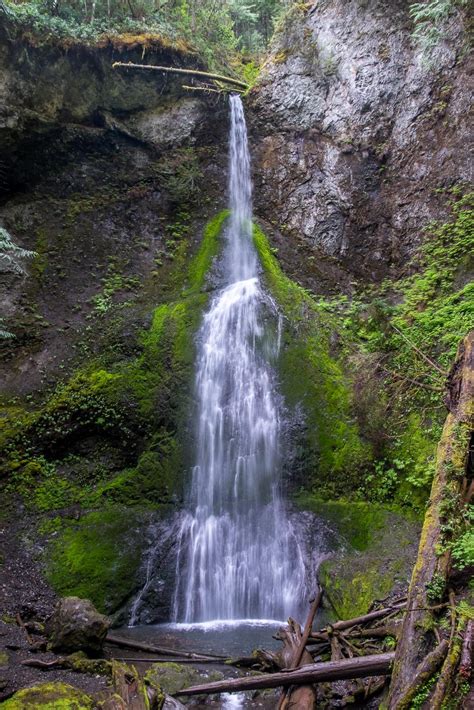 Lake Crescent, Olympic National Park, Washington - Wide Angle Adventure