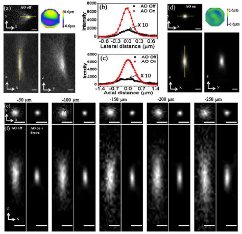 Two-Photon Microscopy Resolution - Inselmane